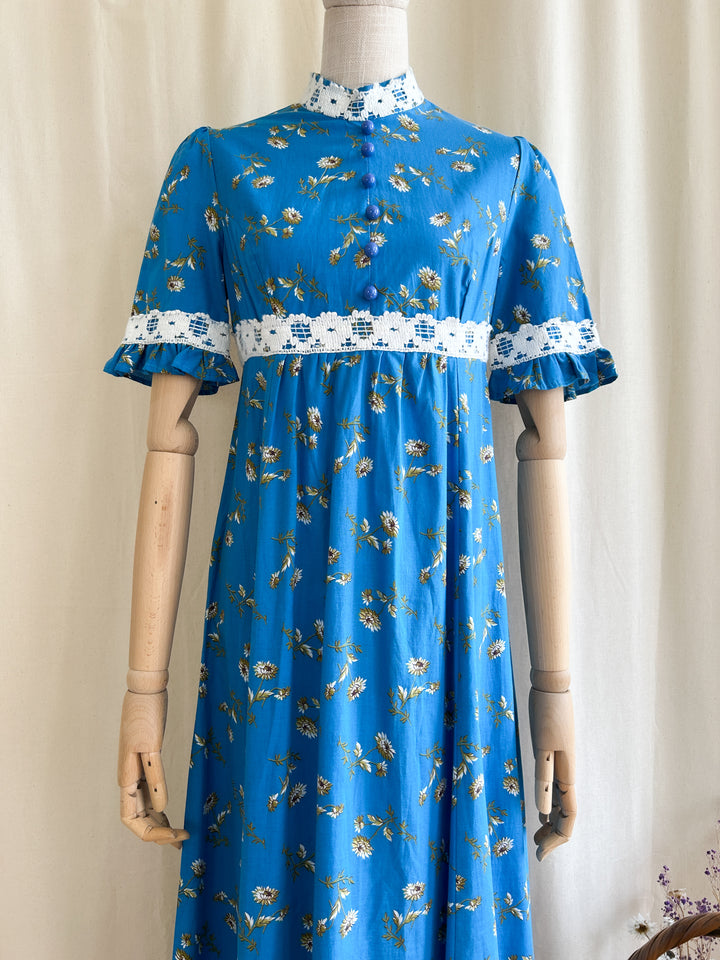 The Crocus ~ stunning cotton 70s prairie dress by Dandi