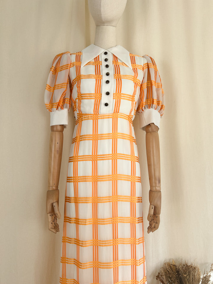 The Clementine ~ adorable chiffon 70s maxi dress