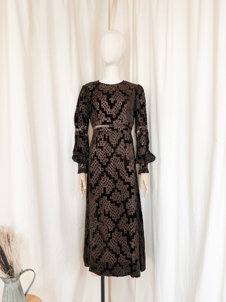 Beautiful Precious 1970s Susan Small Devore Maxi Dress