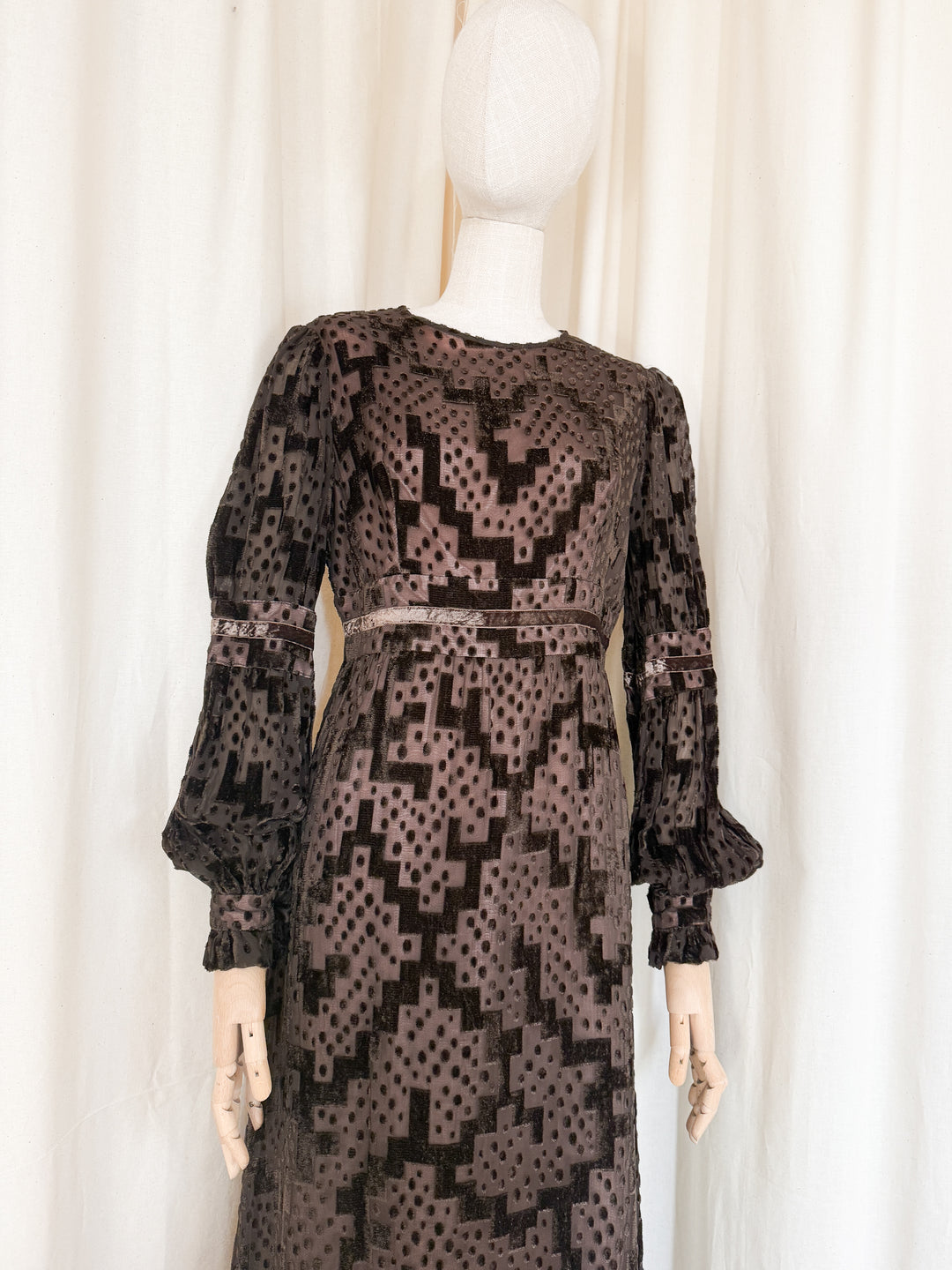 Beautiful Precious 1970s Susan Small Devore Maxi Dress