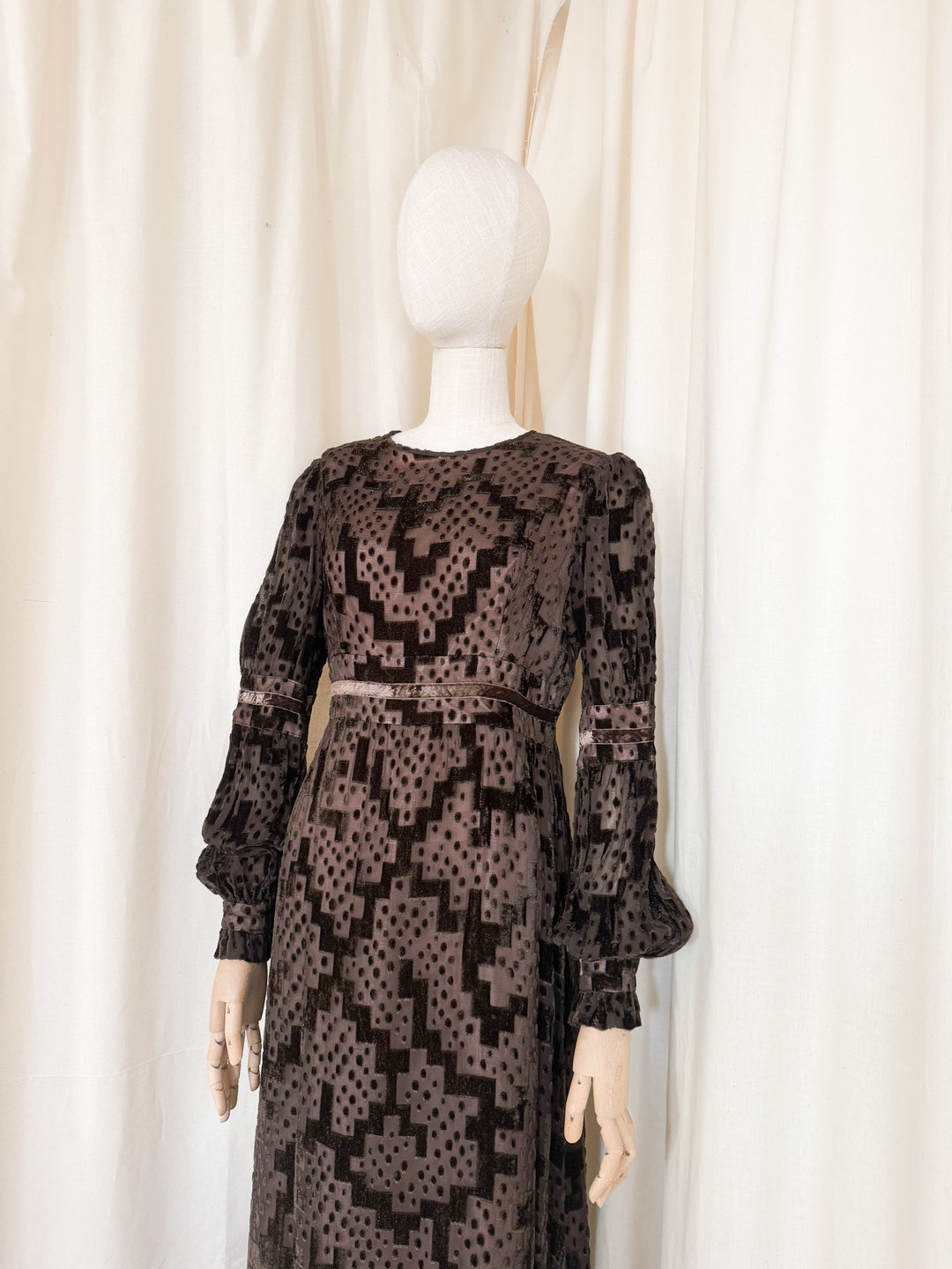 Beautiful Precious 1970s Susan Small Devore Maxi Dress