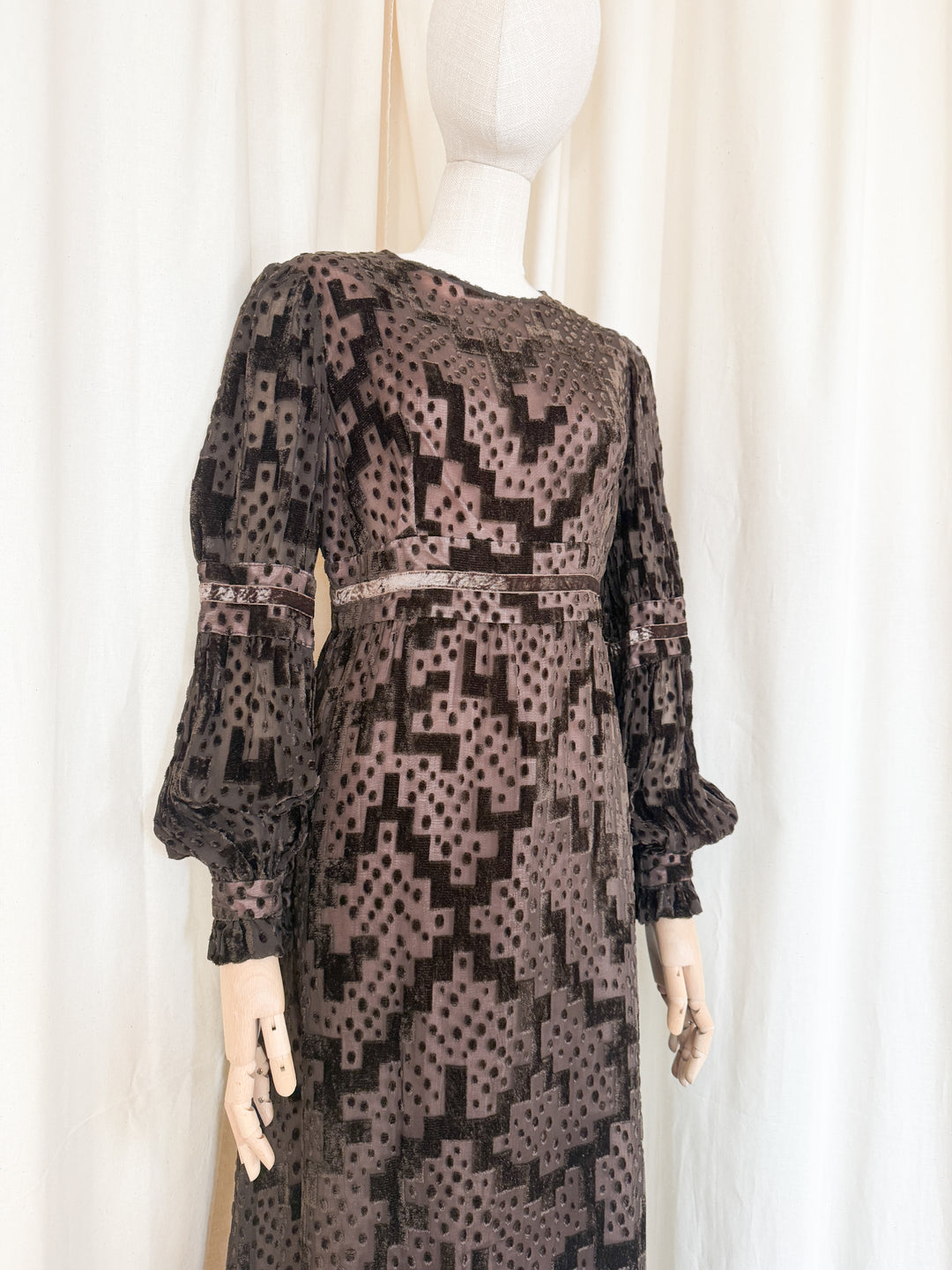 Beautiful Precious 1970s Susan Small Devore Maxi Dress