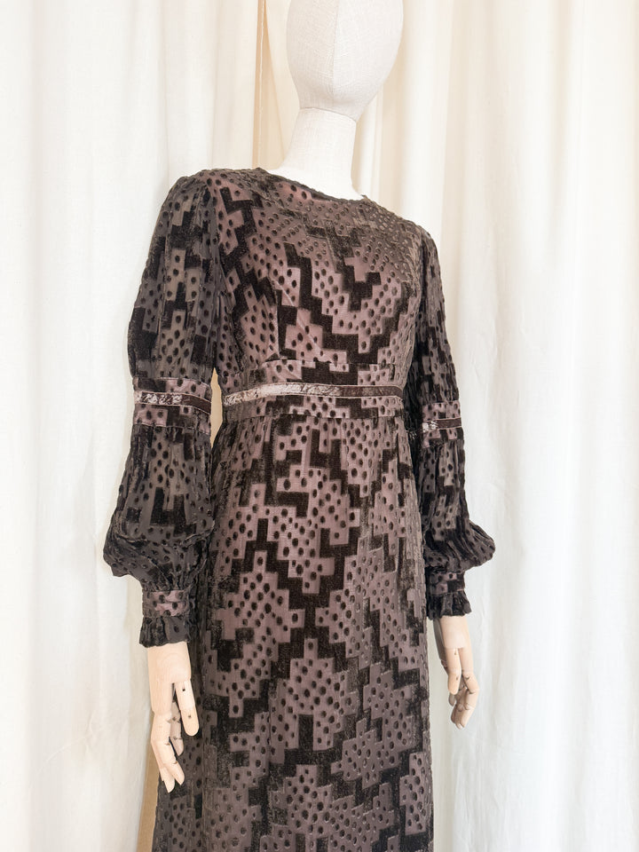 Beautiful Precious 1970s Susan Small Devore Maxi Dress