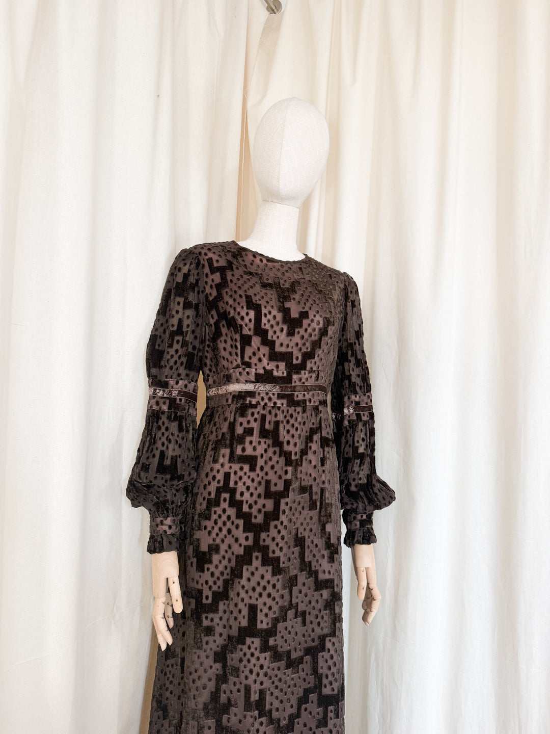 Beautiful Precious 1970s Susan Small Devore Maxi Dress