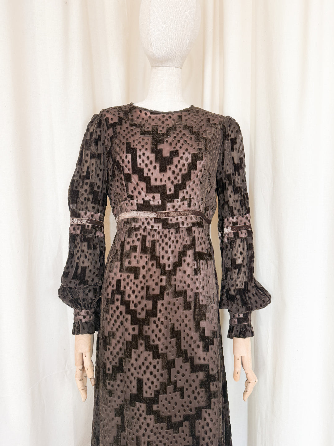 Beautiful Precious 1970s Susan Small Devore Maxi Dress