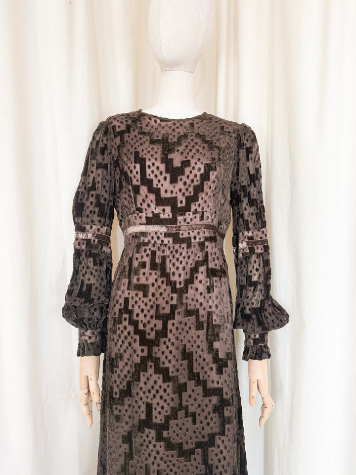 Beautiful Precious 1970s Susan Small Devore Maxi Dress