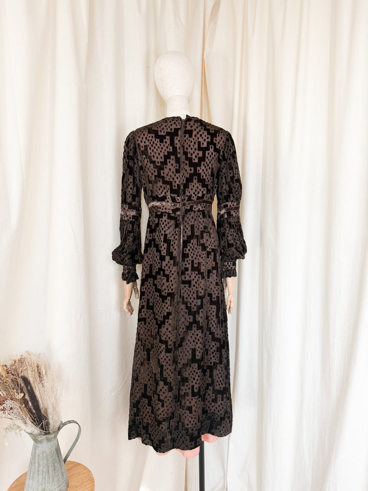 Beautiful Precious 1970s Susan Small Devore Maxi Dress