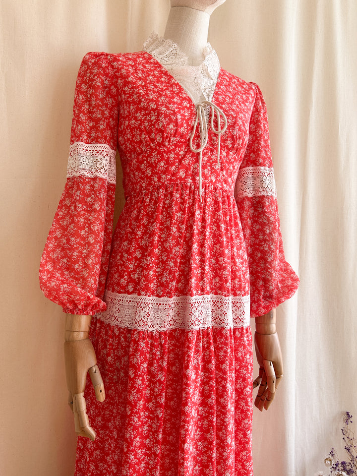 Gorgeous Rare Gunne Sax Style 1970s Red Floral Prairie Dress