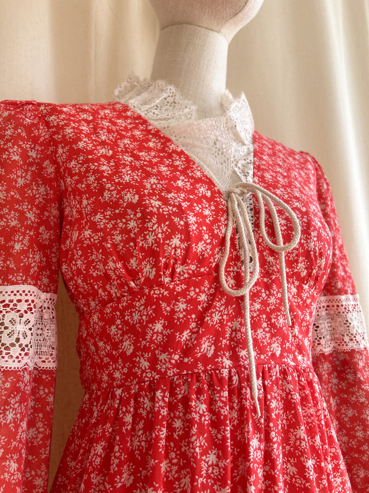 Gorgeous Rare Gunne Sax Style 1970s Red Floral Prairie Dress