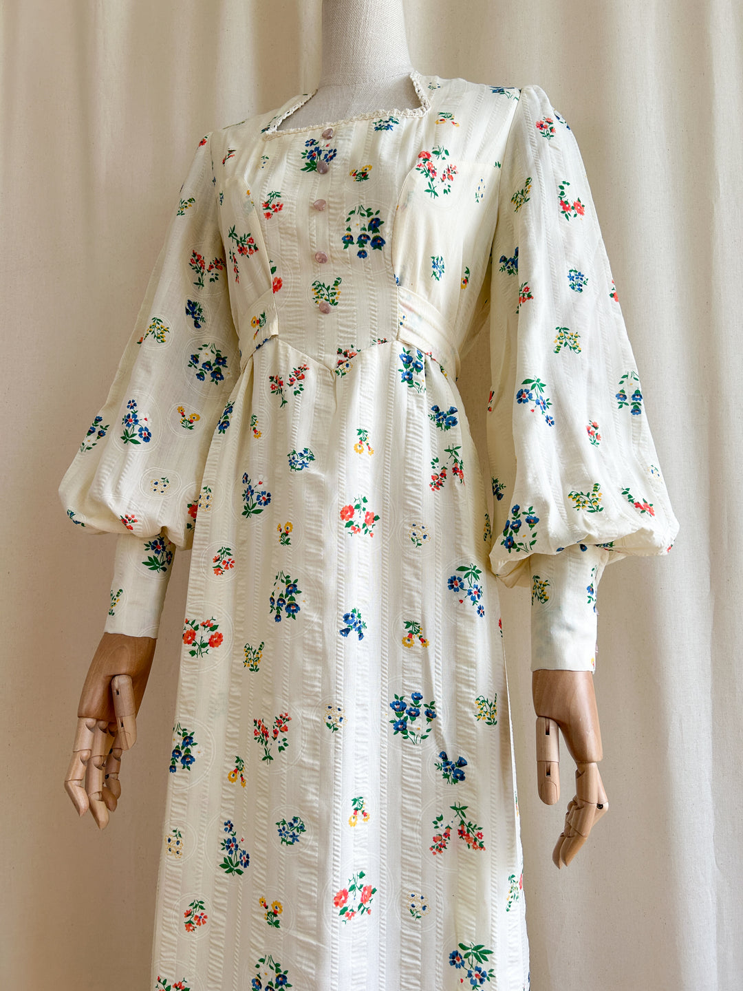 Amazing Botanical Print Rare Seersucker Cotton 1970s Prairie Dress