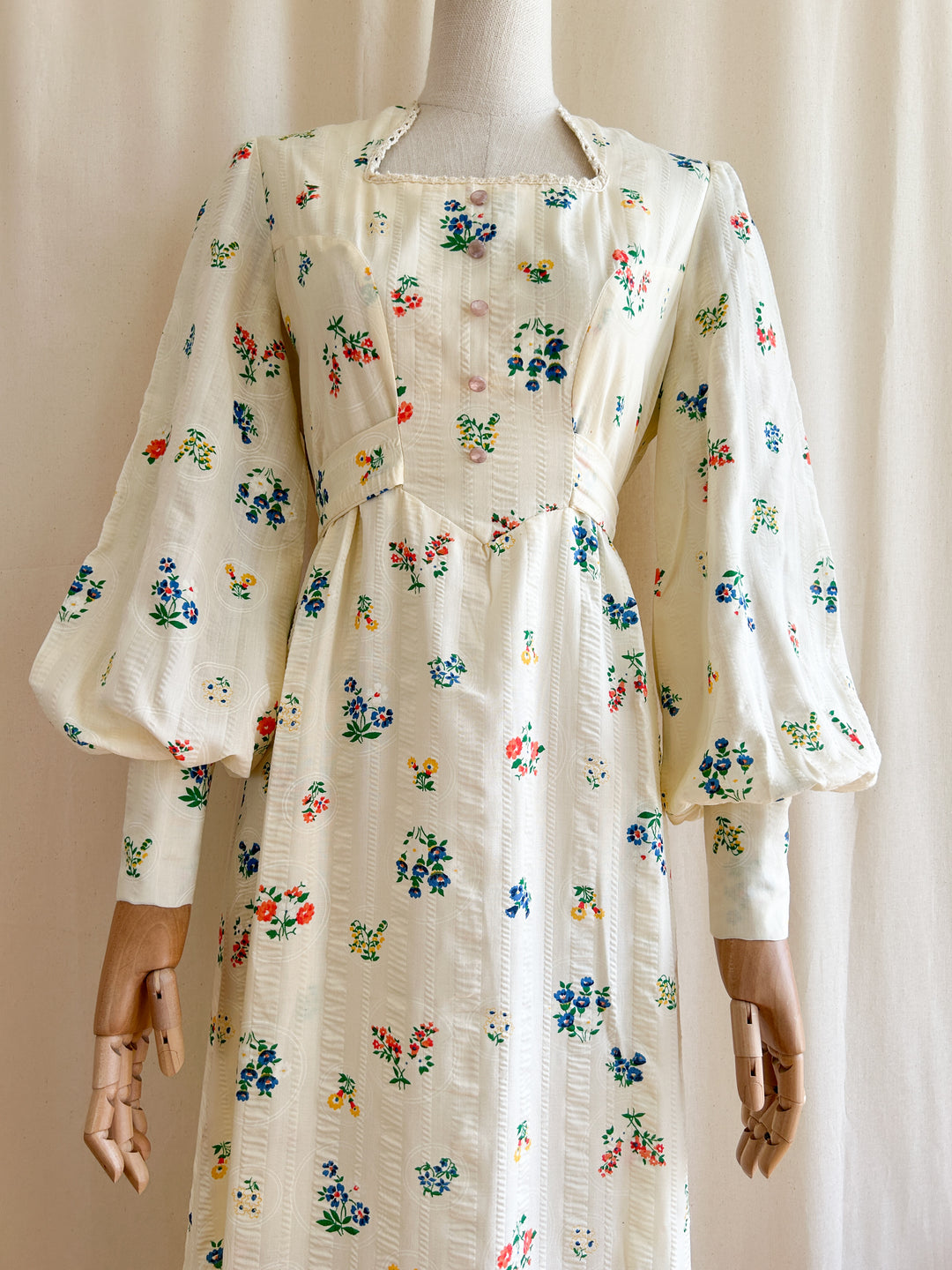 Amazing Botanical Print Rare Seersucker Cotton 1970s Prairie Dress