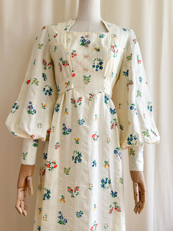 Amazing Botanical Print Rare Seersucker Cotton 1970s Prairie Dress